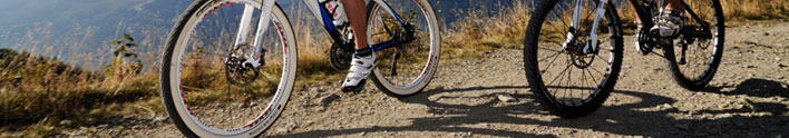 Wypożyczalnia rowerów i nart biegowych